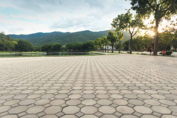 Best Residential Paver Driveway  in Boone, NC